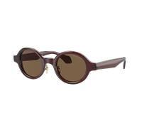 Giorgio Armani Man Sunglass AR8205 - Frame color: Transparent Brown, Lens color: Dark Brown
