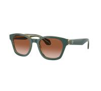 Giorgio Armani Man Sunglass AR8207 - Frame color: Top Green/Olive Transparent, Lens color: Gradient Brown