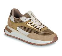 Gioseppo Shoes (Trainers) FUNKLEY in Brown 4