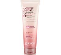 Giovanni 2chic Frizz Be Gone Shampoo - 250ml