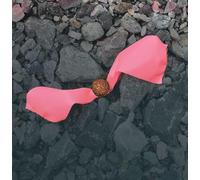 Giovanni Di Domenico - Insalata Statica [VINYL]