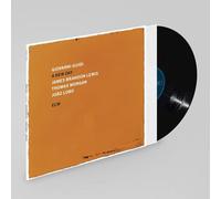 Giovanni Guidi, James Brandon Lewis, Thomas Morgan & Joao Lobo - A New Day [VINYL]