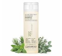 Giovanni Tea Tree Triple Treat Shampoo - 250ml | Cooling Peppermint, Eucalyptus & Rosemary, Helps Strengthen & Rejuvenate Hair & Scalp, Paraben Free, Tea Tree Shampoo