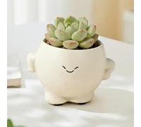 GioXtra Small Size Planter Pot - 1Pcs Smiling Cheerful Face Resin Planter Succulent Plant Flower Pot for Women Plant Lover Indoor Outdoor Garden Home Office Table Decor Mother’s Day Housewarming Gift