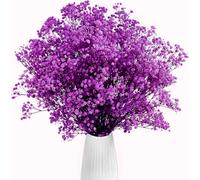 Gipizi Dried Baby's Breath Flowers Purple, 17inch Dried Natural Flowers Babys Breath Bulk with 3000 Buds, Real Dry Gypsophila for Wedding, Party, Wreath Floral DIY, Home Decor