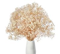 Gipizi Dried Baby's Breath Flowers White, 17inch Dried Natural Flowers Babys Breath Bulk with 3000 Buds, Real Dry Gypsophila for Wedding, Party, Wreath Floral DIY, Home Decor