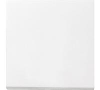 GIRA 029603 Rocker Switch Top Pure White, Glossy 029603
