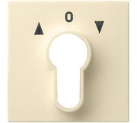 Gira 066401 Key Switch Cover System 55 Cream White