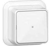 Gira 2-Way Rocker Switch With Control Window 10A 250V - 315611