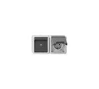 GIRA 417730 Combination Rocker Switch/Schuko Socket 16 A 250 V Horizontal with Hinged Lid Universal Off Toggle Switch Grey