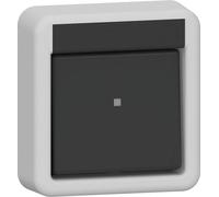 Gira Cross Switch Rocker 10AX 250V Grey - 310735