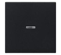 Gira SWW 0290005 Control Window System 55 Cover / Control Element for Installation Switch Programmes 4010337038184