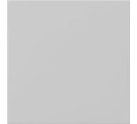 Gira System 55 Intelligent Control Element - 5360015