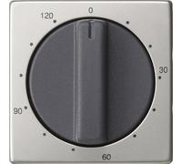 Gira System 55 Stainless Steel 120-Min Timer Switch Cover - 0642600