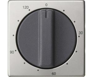 Gira System 55 Stainless Steel 120-Min Timer Switch Cover - 0642600