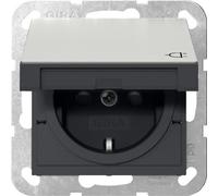 Gira System 55 Stainless Steel SCHUKO Socket With Cover - 4414600