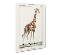 Giraffe By P.J.F. Turpin Canvas Print | Gallery Wrapped 30mm Frame Wall Art | 24x16 inches | Ready to Hang | Retro Animals Picture | Living Room Bedroom Lounge Office