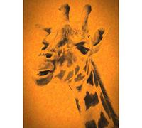 Giraffe Head Illustration Large Art Print Poster Wall Decor 18x24 inch