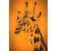 Giraffe Head Illustration Wall Art Print