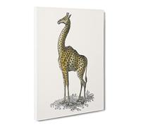 Giraffe Illustration Canvas Print | Gallery Wrapped 30mm Frame Wall Art | 20x14 inches | Ready to Hang | Retro Animals Picture | Living Room Bedroom Lounge Office