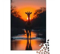 Giraffe Silhouette at Sunset 1000 Piece Jigsaw Puzzle, Animal Puzzle for Adults, Relaxing Home Activity, 52x38cm/1000pcs