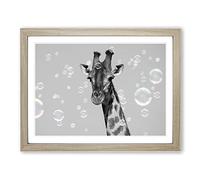 Giraffe Through The Bubbles Modern Art Framed Print | A4 Oak Framed Wall Art | Ready to Hang | Modern Animal Picture | Living Room Bedroom Lounge Office