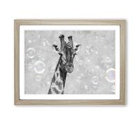 Giraffe Through The Bubbles Painting Modern Art Framed Print | A3 Oak Framed Wall Art | Ready to Hang | Modern Animal Picture | Living Room Bedroom Lounge Office