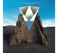 GIRAFFE TONGUE ORCHESTRA - Broken Lines