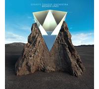 Giraffe Tongue Orchestra - Broken Lines [VINYL]