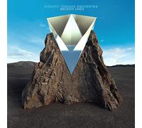 Giraffe Tongue Orchestra Broken Lines LP Vinyl PSI004LP NEW