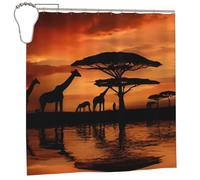 Giraffe Under The Tree In Africa Waterproof Bathroom Shower Curtain 72x72in - Premium Quality Waterproof Bath Curtain With Reinforced Eyelets And Heavy-Duty Design For Enhanced Privacy And Durability