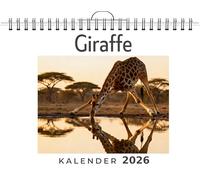 Giraffe: Wandkalender 2026, Kalender DIN A4 quer, Monatskalender im Querformat mit Kalendarium, das perfekte Geschenk