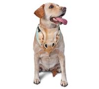 Giraffe with Floral Dog Bandana Pet Scarf Accessories for Small Medium Dogs Cats Photo Prop, Triangle Pet Bandanas Adjustable Puppy Bib Washable Dog Kerchief Puppy Neckerchief