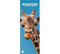 Giraffes 2026 Wall Calendar, 12-Month Slim Format, Made in England