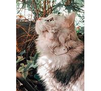 Girafus Cat Tracker RF finder longest Range up to 1600 ft lightest pet safety tracking device only 8gr small pets dog Pro-track-tor Pet Tracker for 3 CATS