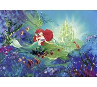 Girl photo wallpaper Disney wall mural photo Ariel's Castle decor 144x100inch