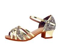 Girls Ballroom Dance Shoes Kids Latin Salsa Peep Toe Low Heel Tango Cha-cha Wedding Evening Dancing Shoes Big/Little Girls Practice Court Shoes Character Jazz Practice Dancing Sandals for Beginners