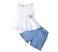 Girls Clothing Purple Tshirt Kids Denim Skirt Crop Top Dress Teen Dresses Festival Outfits Pink for Girls' Cardigans Cute Clothes Black Girl T Shirt Summer Party Prom Blue-B 18-24 Months