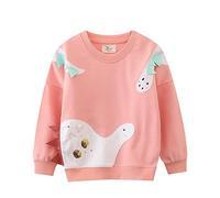 Girls Dinosaur Print Sweatshirt Crewneck Pullover Long Sleeve Casual Soft Cosy Jumper Top for Spring Autumn School Everyday Cute Fun Style(1-2 Years) Pink
