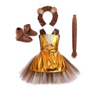Girls Dorothy Lion Scarecrow Tin Man Costume, Oz Book Movie Role Play Tutu Dress with Accessory for Halloween Birthday Party World Book Day Stage