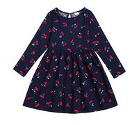 Girls Dress Winter Long Sleeve Dresses Toddler Kids Girls Floral Fruit Flowers Long Sleeves Beach Dress Princess Clothes (Blue, 8-9 Years)