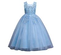 Girls Embroidery Flower Lace Dress Skirt Mesh Princess Dresses Sleeveless Embroidered Pattern Floor Length Princess Prom Tulle Maxi Gown for Formal Wedding Party Birthday (Blue, 7-8 Years)