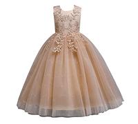 Girls Embroidery Flower Lace Dress Skirt Mesh Princess Dresses Sleeveless Embroidered Pattern Floor Length Princess Prom Tulle Maxi Gown for Formal Wedding Party Birthday (Beige, 11-12 Years)