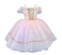 Girls Floral Embroidered Off-Shoulder Ballet Dress Princess Ballerina Tutu Swan Dance Costume Party Performances,Pink,110