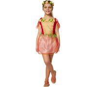 Girls’ Flower Fairy Costume Spring Fairy Nymph Butterfly Princess Fancy Dress