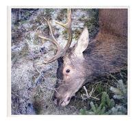 Girls in Hawaii - Plan Your Escape