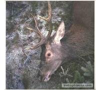 Girls in Hawaii - Plan Your Escape [VINYL]