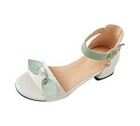 Girls Princess Shoes Glitter Shoes Brown Moulded Ridge Bottom Sandals For Kids Toddler Cute Flowers Slipper School Size 2 White Block Heel With Strappy Ankle Zipper Big Little (White,4.5)