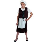 Girls Tudor Costume Ages 4-6 (S), Height 110cm