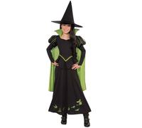 Girls Wicked Witch Of The West Costume The Wizard Of Oz Emerald City Fancy Dress
